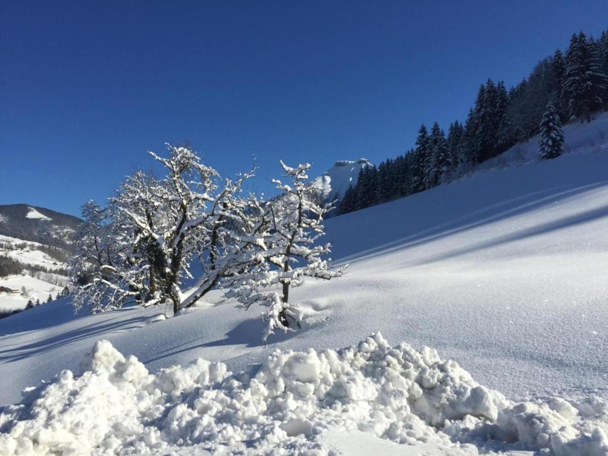 Apartment Apartment With Balcony And Sauna Flachau